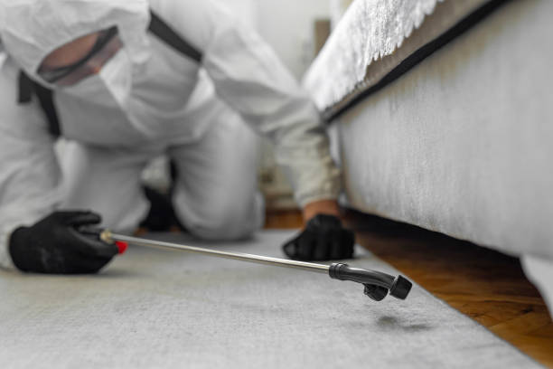 Professional Bed Bug Control technician working in Goldendale, WA